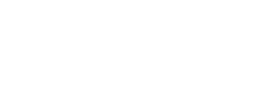 GEM Consulting